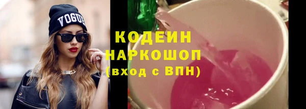 дмт Богданович