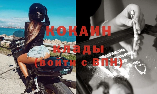 дмт Богданович