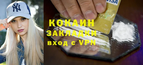 дмт Богданович
