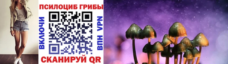 Псилоцибиновые грибы GOLDEN TEACHER  Вязьма 